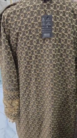 Alternative view of Chiffon Partywear Kameez