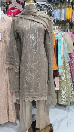 Chiffon Taupe Partywear Kameez