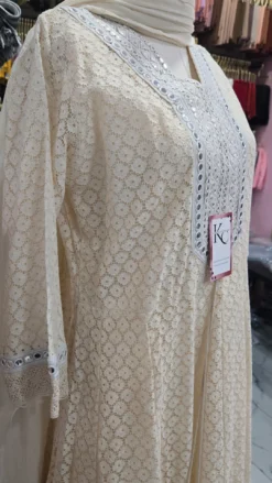 Alternative view of Cotton Chikankari Anarkai Gown
