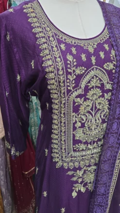 Alternative view of Purple Stonework Kameez