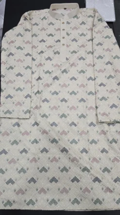 Cream Mens Chikankari Panjabi