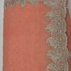 Peach Stone Work Saree