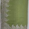 Sage Green Stone Work Saree