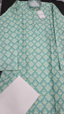 Mint Panjabi Set KC933