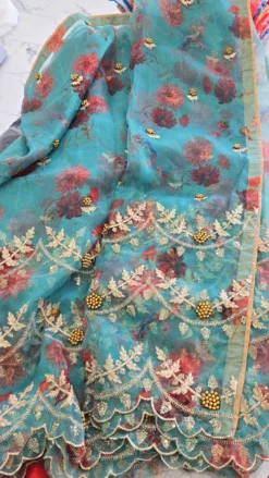 Organza Saree With NO Blouse KC997